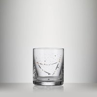 Zodiac Tumbler Capricorn