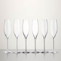 Elegance Champagne Classic Flute Set of 6