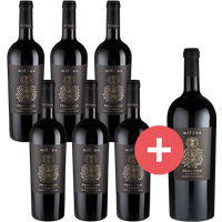 6er-Paket Miluna Primitivo Salento + GRATIS Magnumflasche - Weinpakete