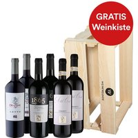 6er-Paket Luca Maronis bestbewertete Weine inkl. Weinfreunde Holzkiste - Weinpakete