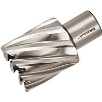 Rotabroach Raptor M2 HSS Annular Cutter - 12mm to 36mm Dia. (Ferrous Metals) (Diameter (mm): 22)