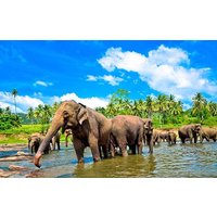 Christmas in Sri Lanka