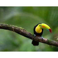 Colours of Costa Rica