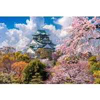 A Week in Japan