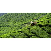 Treasures of Sri Lanka