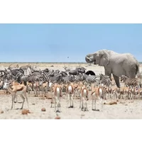 Namibia Adventure