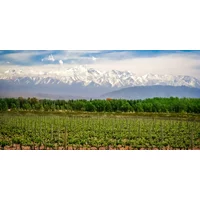 Wines & Wonders of South America