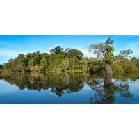 Ecuador & Amazon Explorer