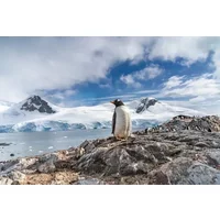 Antarctica & Latin Wonders
