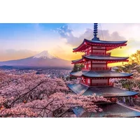 Japan by Land & Sea - D - 2028