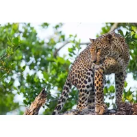 Yala National Park