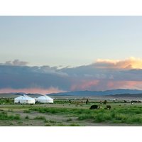 Heart of Mongolia