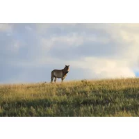 China & Mongolia Heartlands