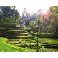 Angkor to Bali