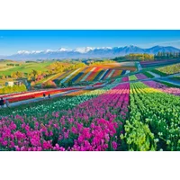 Northern Japan: Secrets of Hokkaido