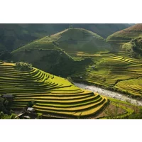 Pearls of the Philippines