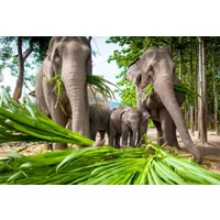 Thailand & Laos Adventure