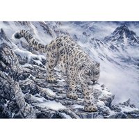 Snow Leopard