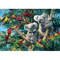 Koala Outback_W