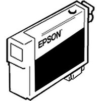 Epson T5801 Photo Black Ink Cartridge Epson T5801 Photo Black Ink Cartridge