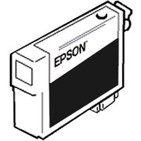 Epson T5808 Matt Black Ink Cartridge Epson T5808 Matt Black Ink Cartridge