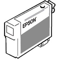 Epson T5809 Light Light Black Ink Cartridge Epson T5809 Light Light Black Ink Cartridge