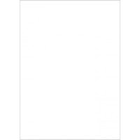 Westcott Basics X-Drop Background Cloth - White Westcott Basics X-Drop Background Cloth - White