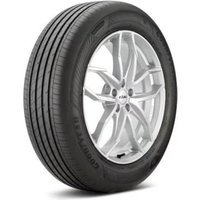 Goodyear Tire EFFICIENT GRIP PERFORMANCE 2 Summer