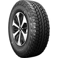 Firestone Tire DESTINATION AT CAMO All Season