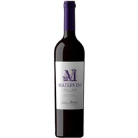 Antes Andes Vina Canota Mendoza 1200 mlsm 2015 Bodega Matervini