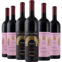 Degustazione 6 bt Rossi Friuli - Fantinel