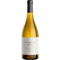 Chardonnay Block III & VI Patagonia 2019 Bodega Otronia