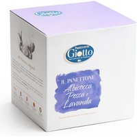 Panettone Albicocca Pesca e Lavanda 6pz x 1 kg - Giotto