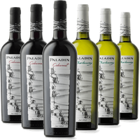 Degustazione 6 bt Veneto - Paladin