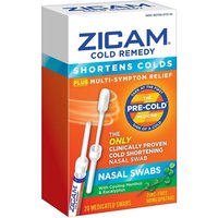 Zicam Cold Remedy Nasal Swabs 20 Ea