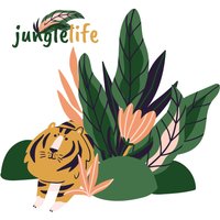 Naklejka załóżkownik Jungle Life lion