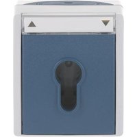 BJ APWG ocean Jalousie 2712SLW-53 2polig Schalter-/ Taster grau/ blaugr