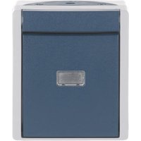 BJ APWG ocean Taster 2621W-53-206 Wechsler grau/blaugrün