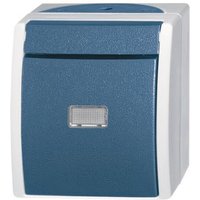 BJ APWG ocean Taster mit 2621WGL-53 Beleuchtung Schliesser grau/ blaugrün