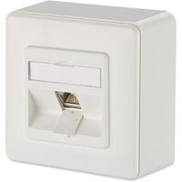Metz E-DAT Modul 8(8) AP rw 1309110002-E
