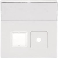 BJ Abdeckung für Signaltaster- 1572CN-84 Einsatz 1520/1 UKZ 2fach