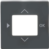 BJ carat Abdeckung für Timer- 6435-81 Bedienelement Komfort/ Stand. anthraz