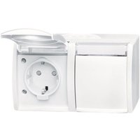 BJ Ocean Steckdose mit 20/2 EBW-54 Klappdeckel waager 2fach AP