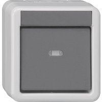 GIRA 515130 Taster-BA 1fach Kontroll- fenster+ 1-Punkt KNX WG AP IP44 Grau