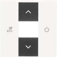 BJ Zentralscheibe RTR matt 6235-884 sws Busch-free@home future linear