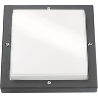 SGL LED-Wandleuchte Bassi schwarz 614188 10W 580lm 3K IK10 IP65 m.Dae 240x240mm