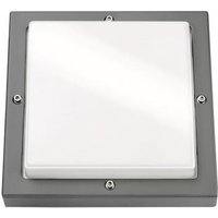 SGL LED-Wandleuchte Bassi grafit 623188 10W 580lm 3K IK10 IP65 m.Dae 240x240mm