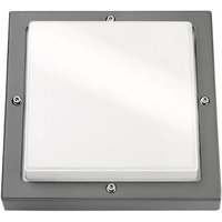 SGL LED-Wandleuchte Basso grafit 623194 19W 1250lm 3000K IK10 IP65 308x308mm