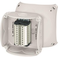 Hensel Reihenklemmenkasten RK 0610 T 1,5-4qmm, 10 Klemmen WKM, m.Außenbefestg (Inhalt 5 Stück)