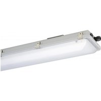 SCHUCH Ex-Wannenleuchte IP66 e865F 12L42 Zone 1/21/2/22 28W 4360lm 65K 1250mm sat